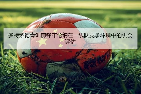 多特蒙德青训前锋布伦纳在一线队竞争环境中的机会评估 - kaiyun