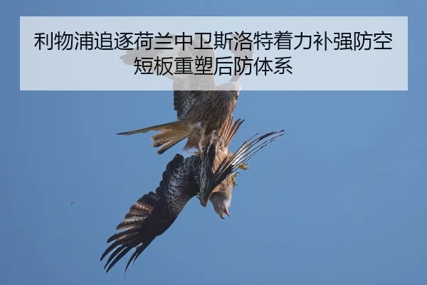 利物浦追逐荷兰中卫斯洛特着力补强防空短板重塑后防体系 - kaiyun